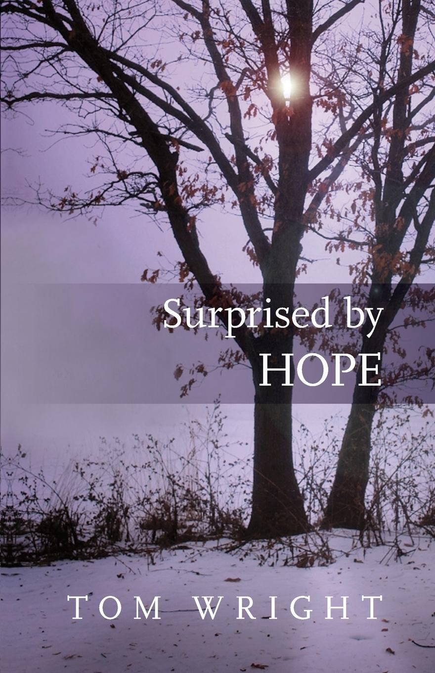 Cover: 9780281064779 | Surprised by Hope | Tom Wright | Taschenbuch | Englisch | 2011