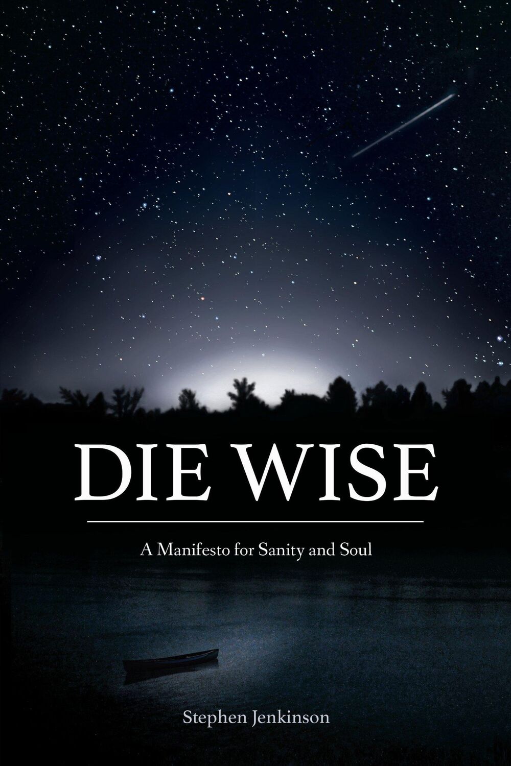 Cover: 9781583949733 | Die Wise | A Manifesto for Sanity and Soul | Stephen Jenkinson | Buch