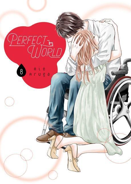 Cover: 9781646511082 | Perfect World 8 | Rie Aruga | Taschenbuch | Englisch | 2021