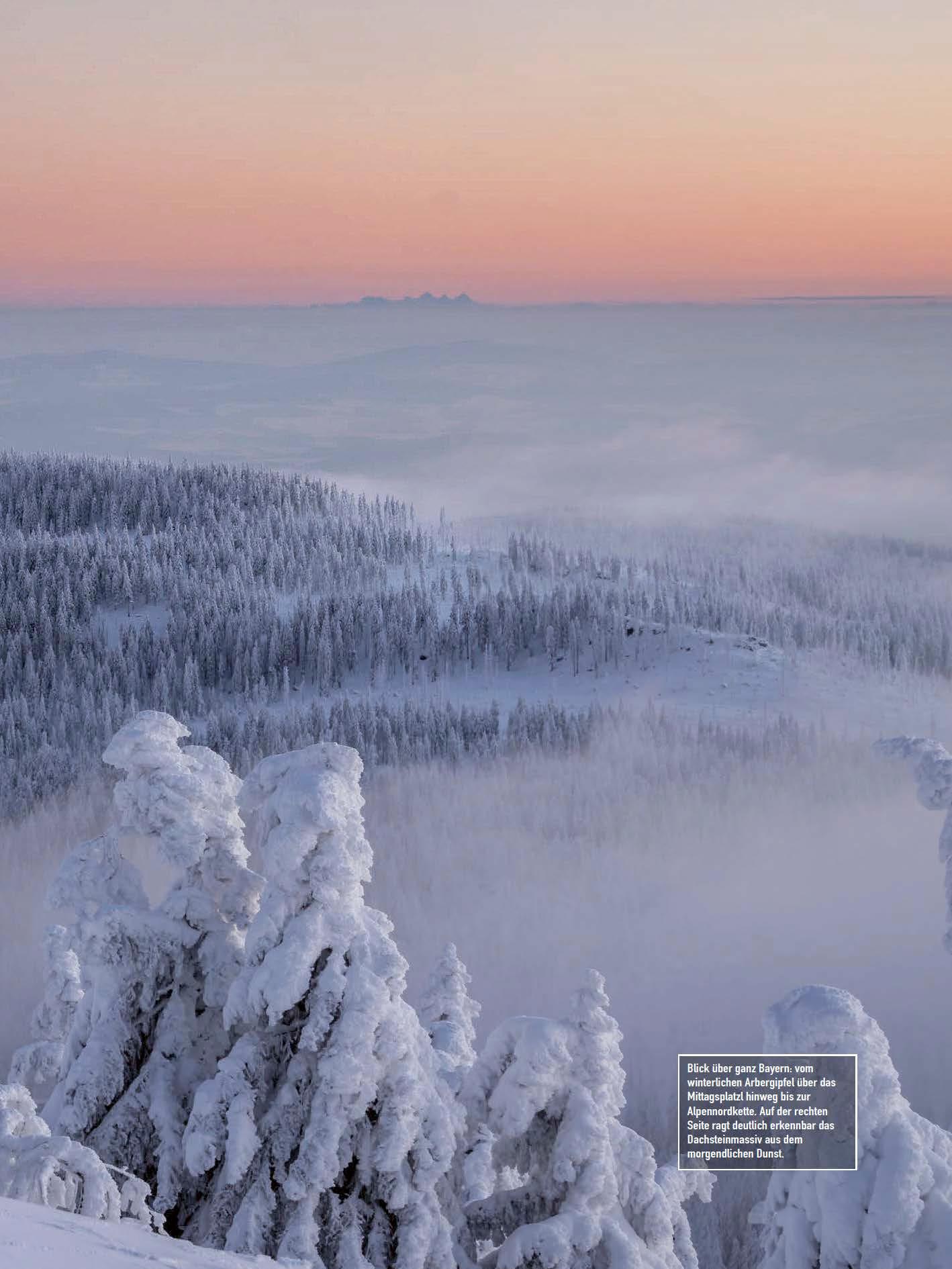 Bild: 9783955878160 | Faszination Bayerischer Wald | Kai Ulrich Müller | Buch | 244 S.