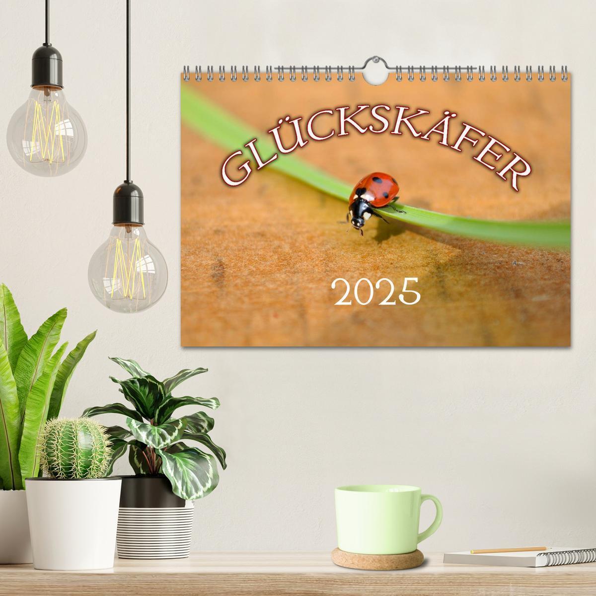 Bild: 9783435787418 | Marienkäfer 2025 (Wandkalender 2025 DIN A4 quer), CALVENDO...