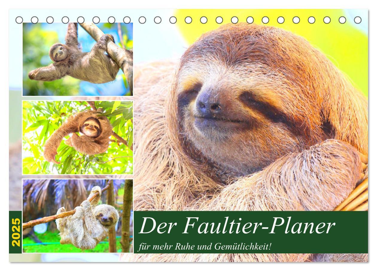 Cover: 9783435039739 | Der Faultier-Planer für mehr Ruhe und Gemütlichkeit! (Tischkalender...