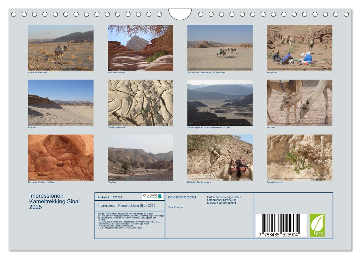 Bild: 9783435525904 | Impressionen Kameltrekking Sinai 2025 (Wandkalender 2025 DIN A4...