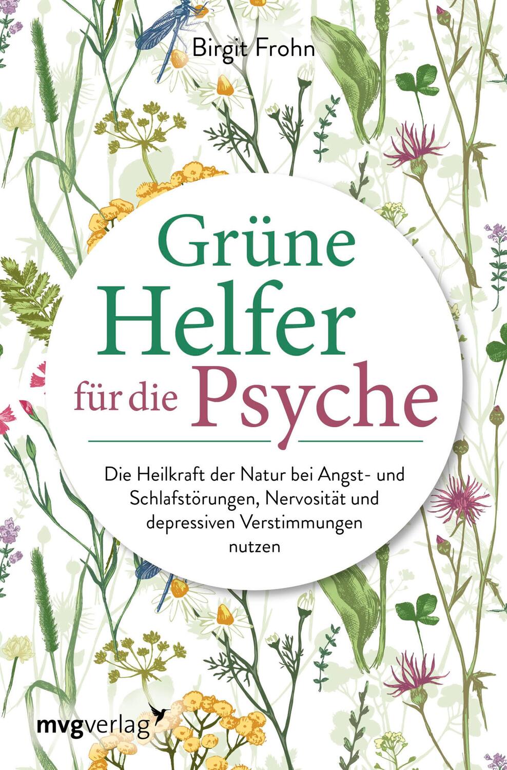 Cover: 9783747401668 | Grüne Helfer für die Psyche | Birgit Frohn | Taschenbuch | Deutsch