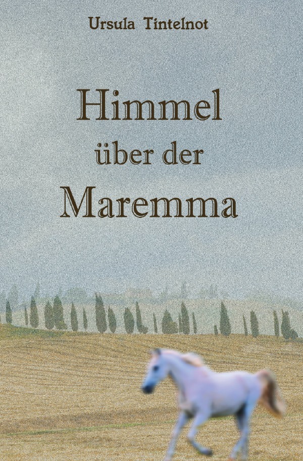 Cover: 9783748509080 | Himmel über der Maremma | Ursula Tintelnot | Taschenbuch | 456 S.