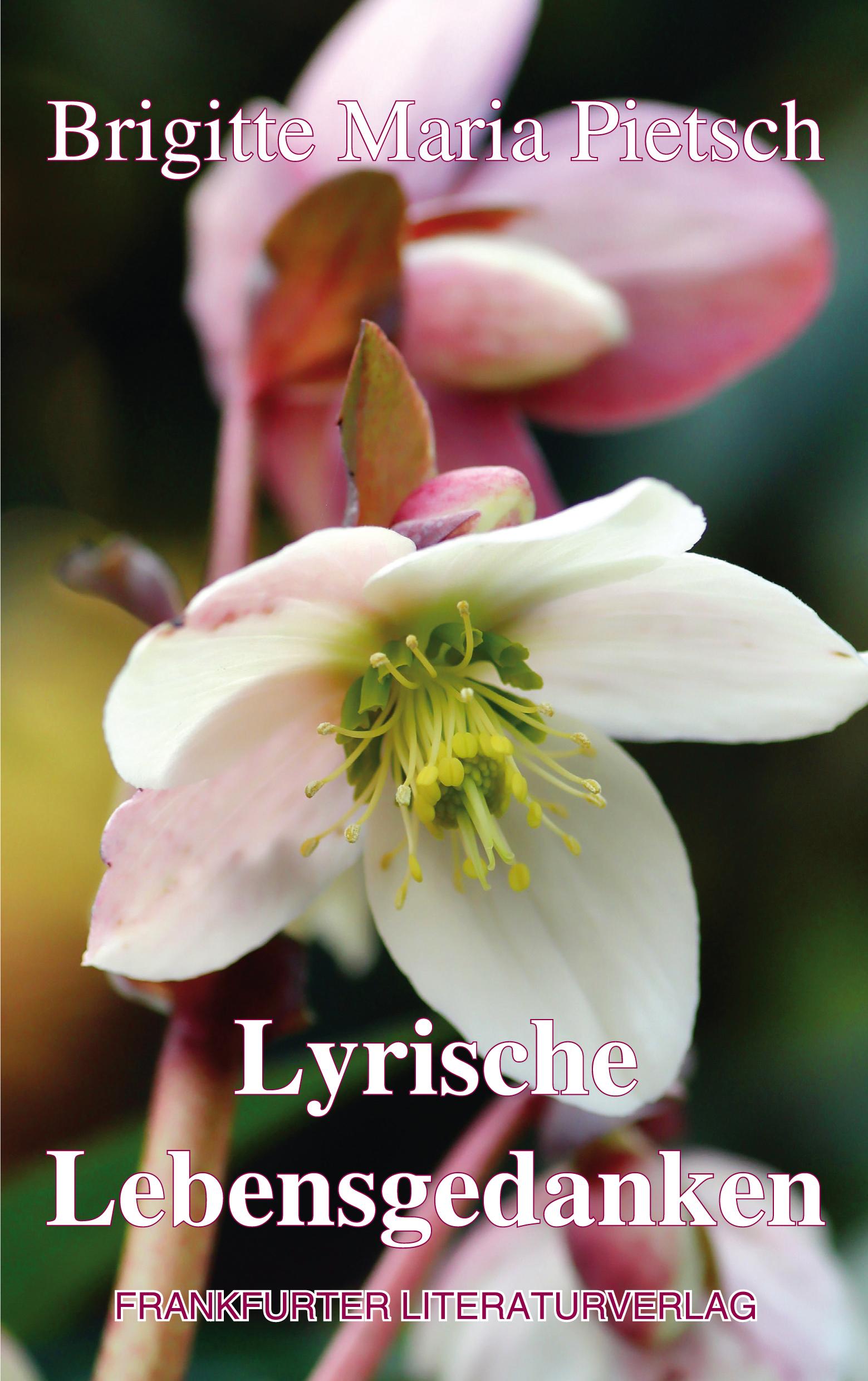 Cover: 9783837228595 | Lyrische Lebensgedanken | Brigitte Maria Pietsch | Taschenbuch | 2025