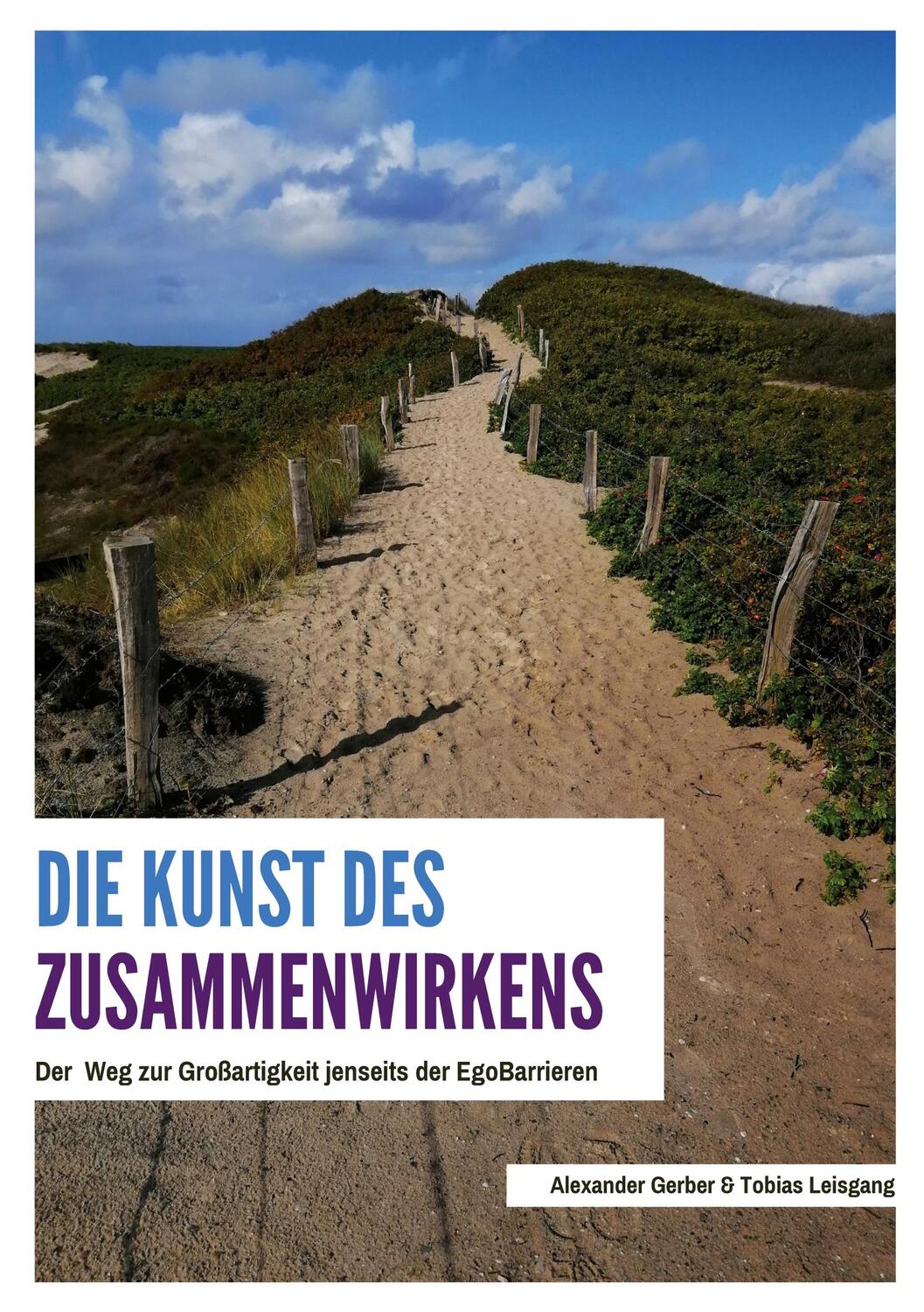 Cover: 9783752627190 | Die Kunst des Zusammenwirkens | Tobias Leisgang (u. a.) | Taschenbuch
