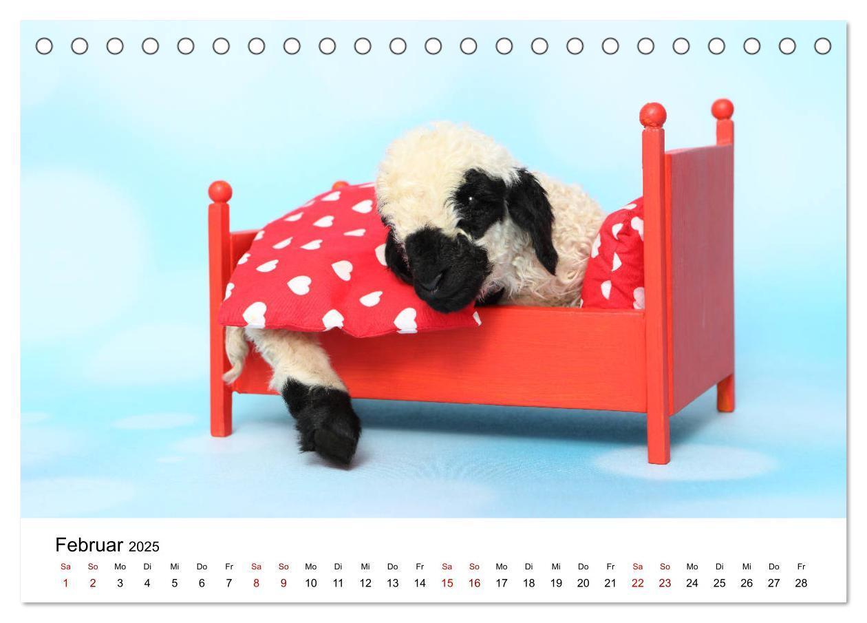 Bild: 9783435326068 | Walliser Schwarznasenschaf Valais Blacknose Sheep (Tischkalender...