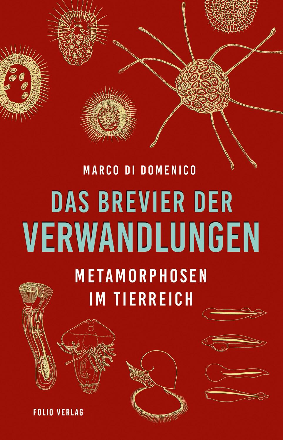 Cover: 9783852568805 | Das Brevier der Verwandlungen | Metamorphosen im Tierreich | Domenico