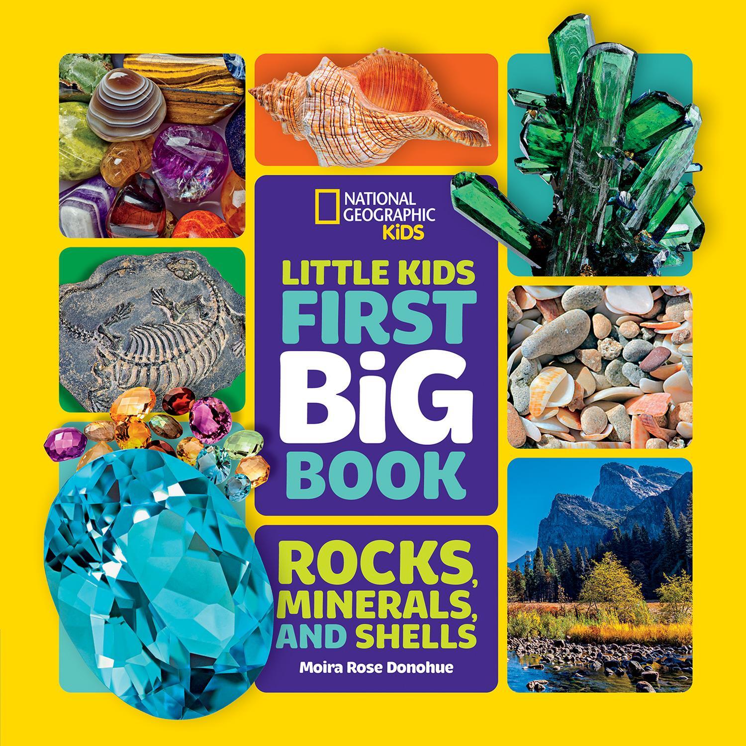 Cover: 9781426372223 | Little Kids First Big Book of Rocks, Minerals & Shells | Donohue
