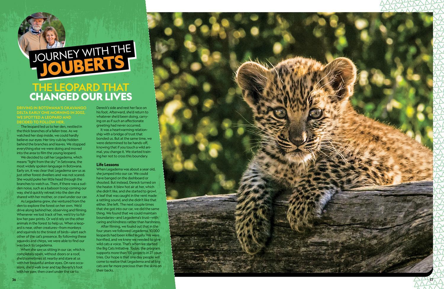 Bild: 9781426371875 | The Ultimate Book of African Animals | Beverly Joubert | Buch | 2021
