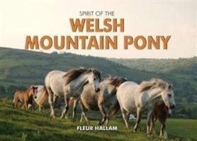 Cover: 9780857100290 | Spirit of the Welsh Mountain Pony | Fleur Hallam | Buch | Gebunden