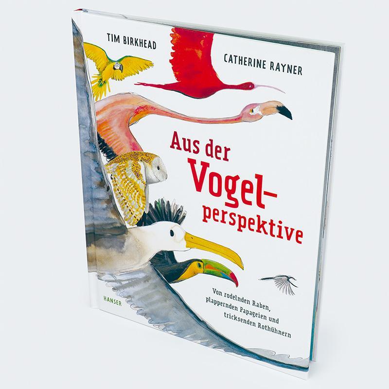 Bild: 9783446276499 | Aus der Vogelperspektive | Tim Birkhead (u. a.) | Buch | 48 S. | 2023