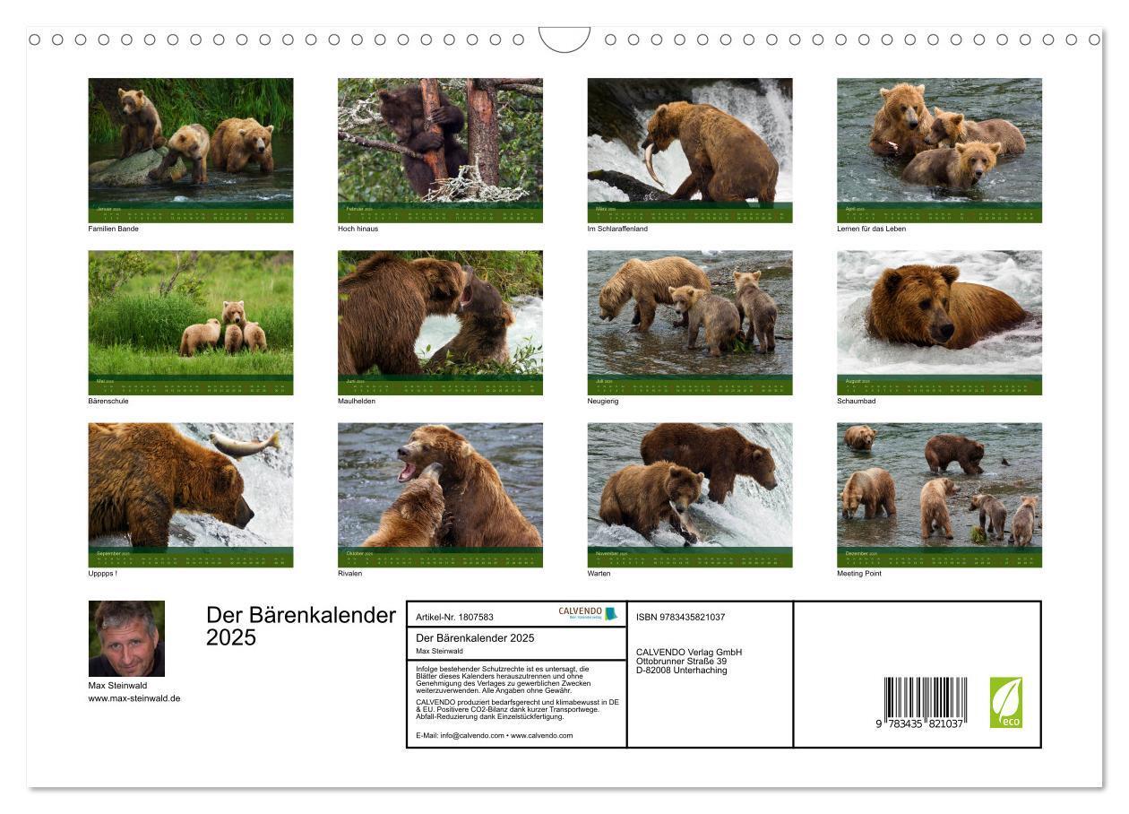 Bild: 9783435821037 | Der Bärenkalender 2025 (Wandkalender 2025 DIN A3 quer), CALVENDO...