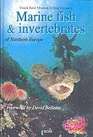 Cover: 9780954406028 | Marine Fish &amp; Invertebrates of Northern Europe | Moen (u. a.) | Buch