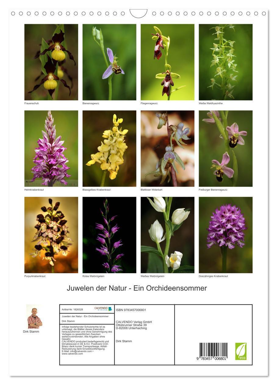 Bild: 9783457006801 | Juwelen der Natur - Ein Orchideensommer (Wandkalender 2025 DIN A3...