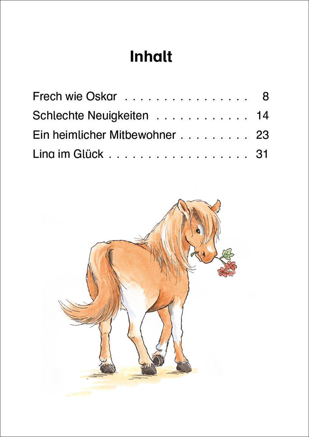 Bild: 9783743208599 | Leselöwen 1. Klasse - Das neue Pferd in der Reitschule | Eva Hierteis