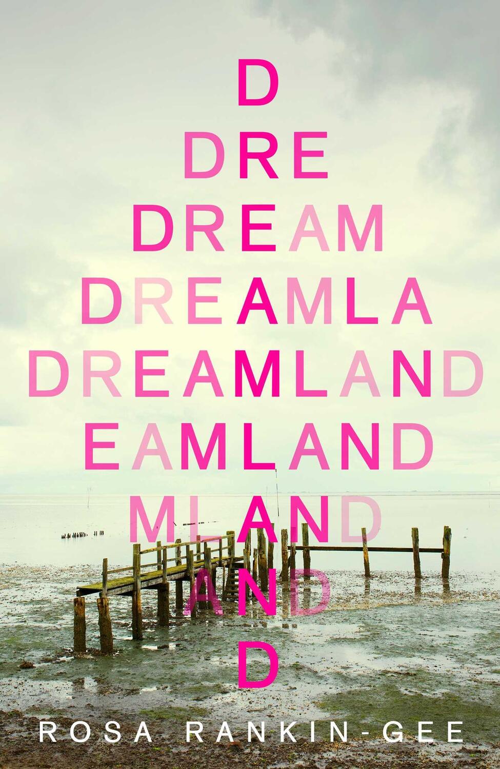 Cover: 9781471193828 | Dreamland | Rosa Rankin-Gee | Taschenbuch | XII | Englisch | 2021