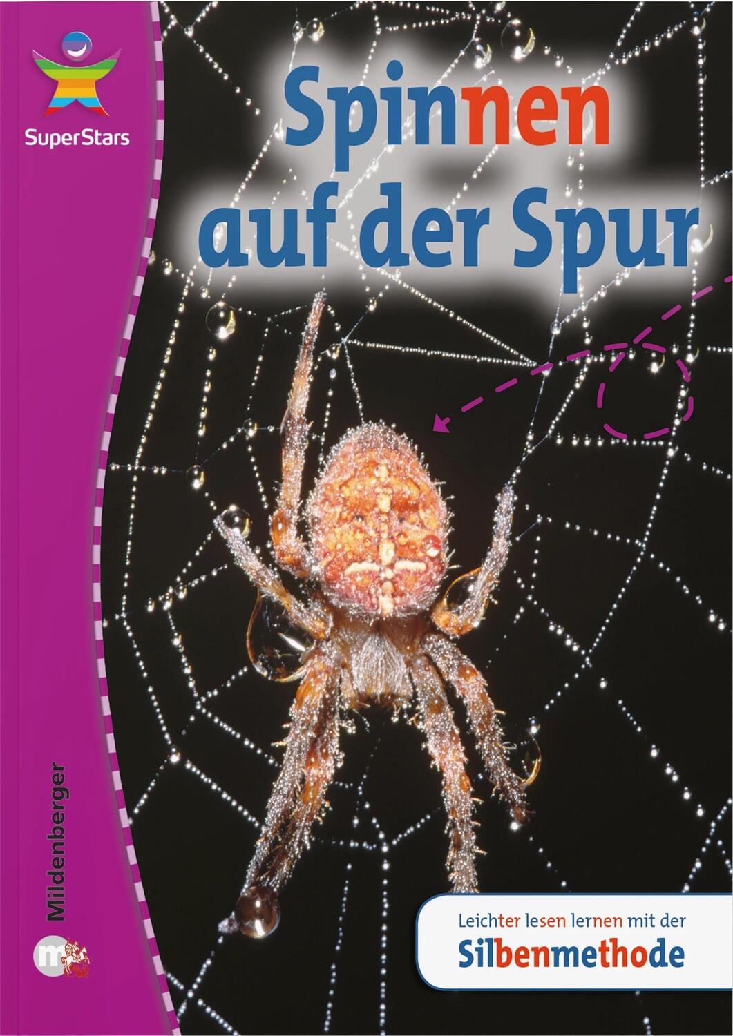 Cover: 9783619242290 | SuperStars - Sachtexte | Spinnen auf der Spur | Sarah Love | Buch