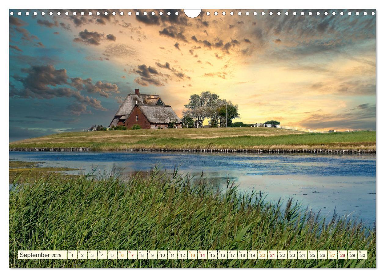 Bild: 9783435070145 | Geliebte Nordsee (Wandkalender 2025 DIN A3 quer), CALVENDO...