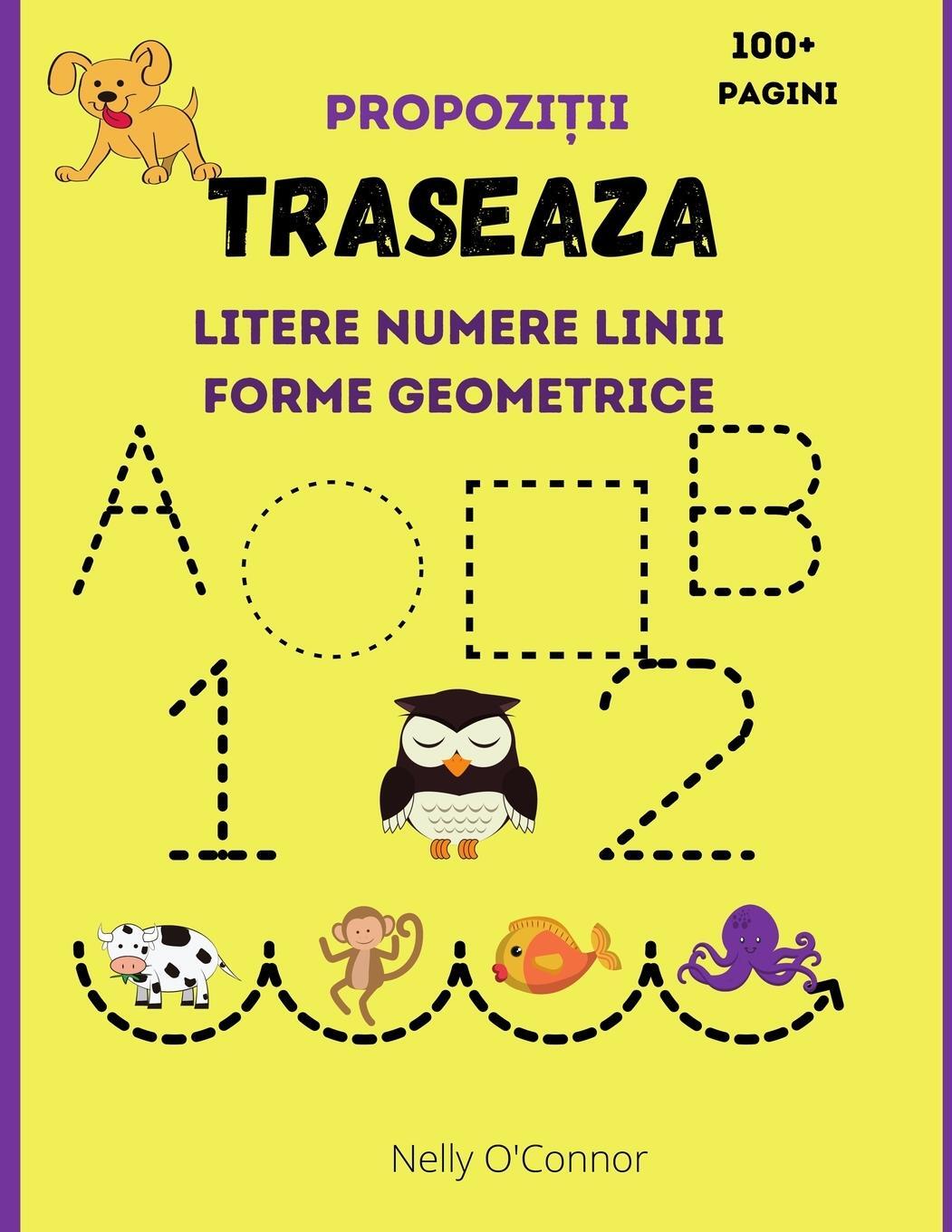 Cover: 9781915092021 | Traseaza Litere Numere Linii Forme Geometrice si Propozitii | Buch