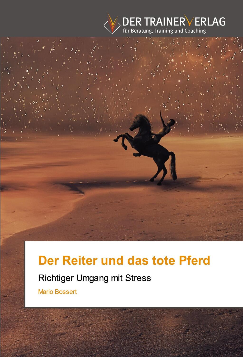 Cover: 9786200769800 | Der Reiter und das tote Pferd | Richtiger Umgang mit Stress | Bossert