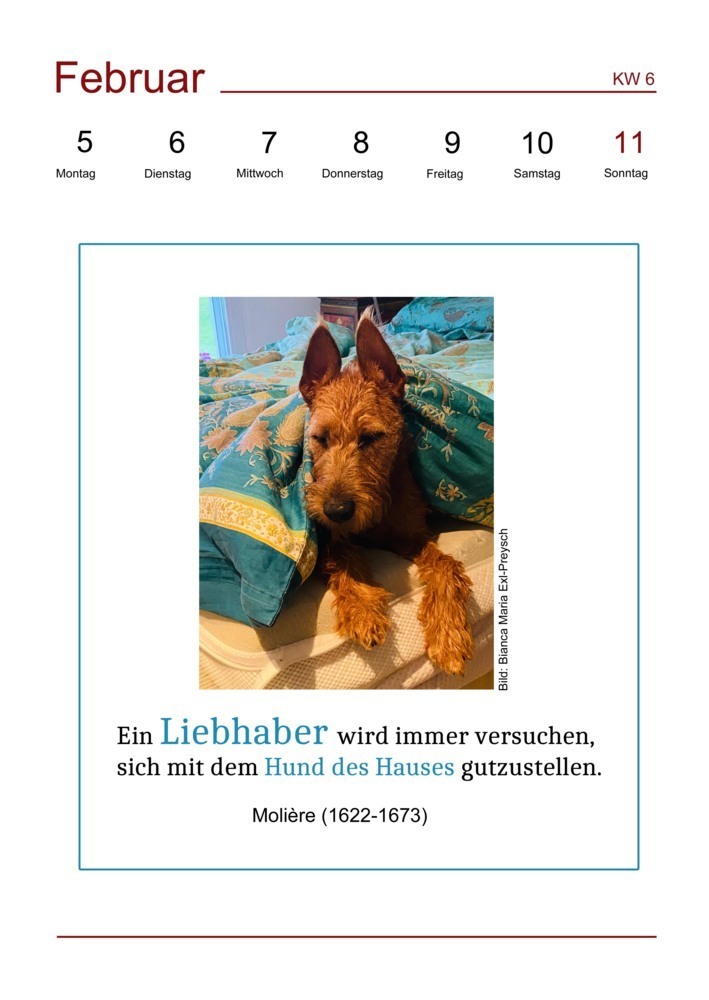 Bild: 9783982150376 | Der literarische Hundekalender 2024 | Charlotte Körner | Kalender