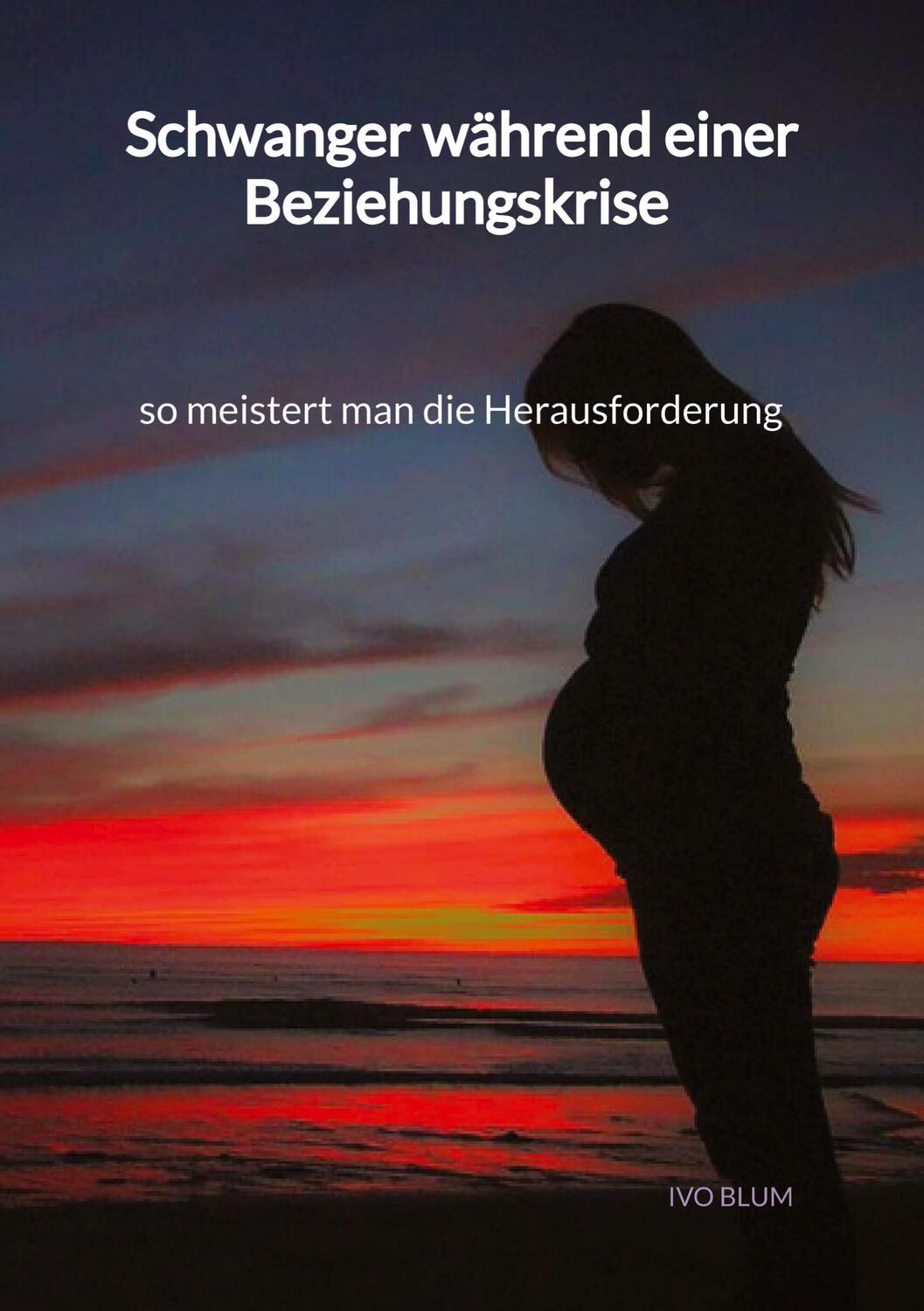 Cover: 9783347996960 | Schwanger während einer Beziehungskrise - so meistert man die...