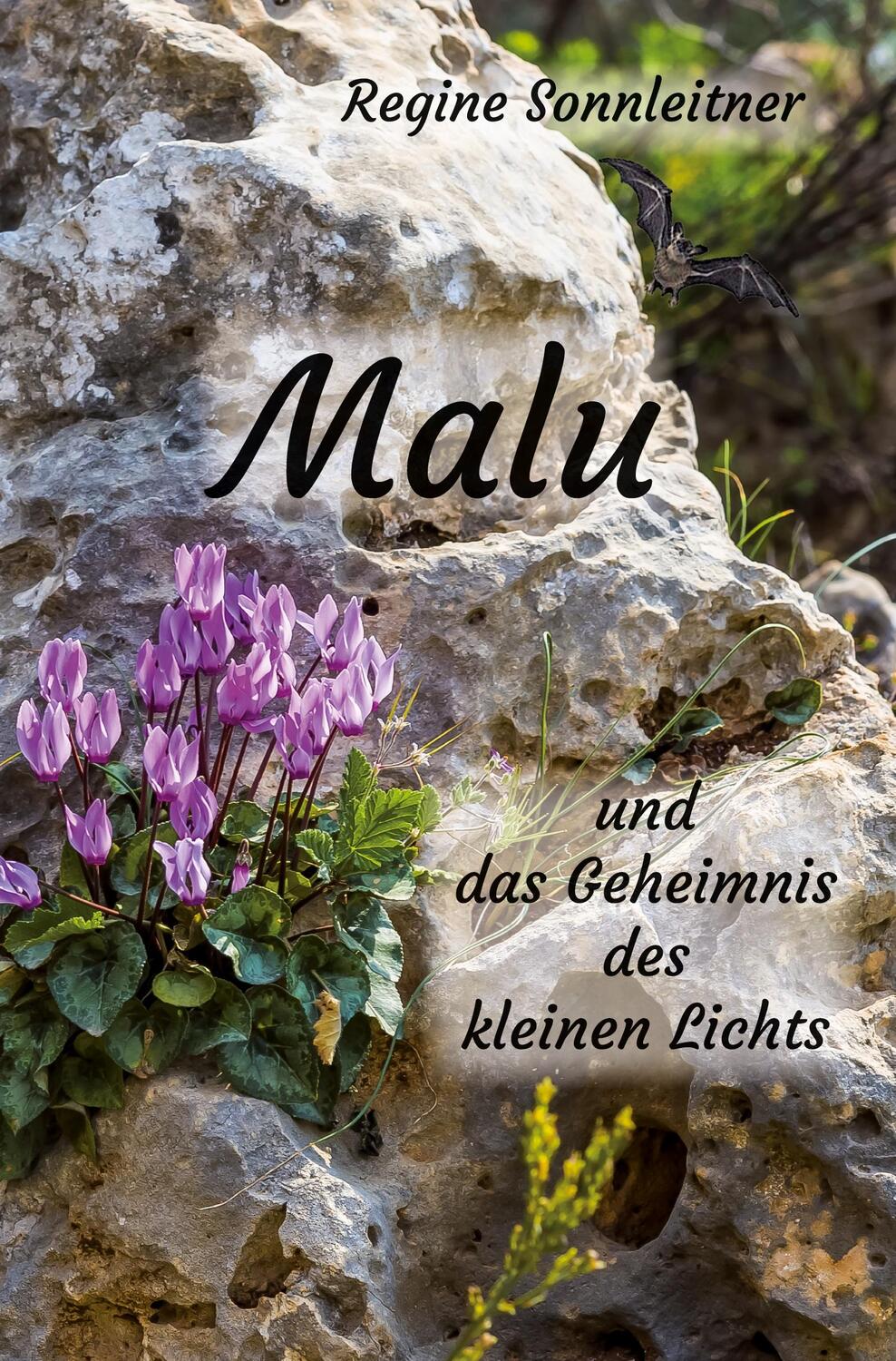 Cover: 9783985271184 | Malu und das Geheimnis des kleinen Lichts | Regine Sonnleitner | Buch