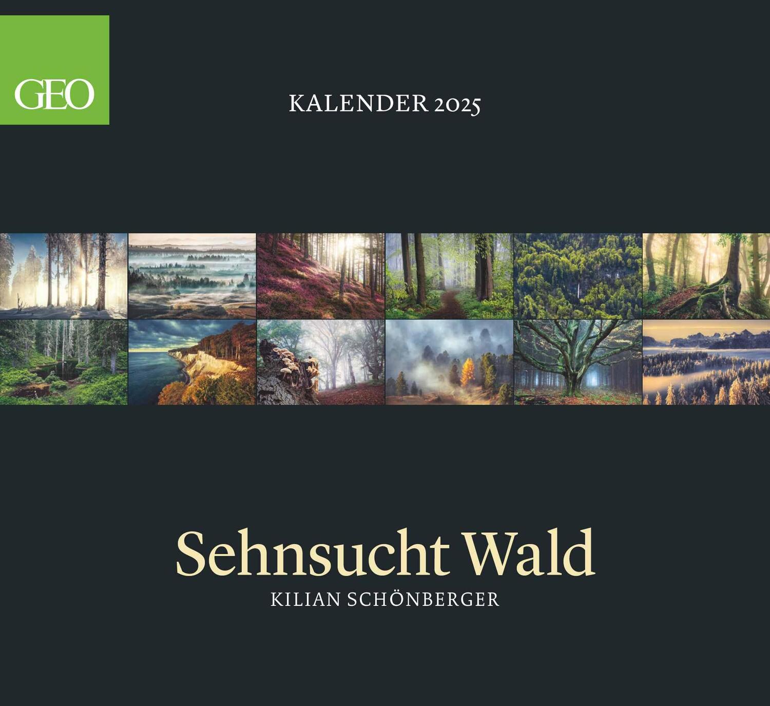 Cover: 4002725988683 | GEO Kalender: Sehnsucht Wald 2025 - Wand-Kalender - Natur-Kalender...