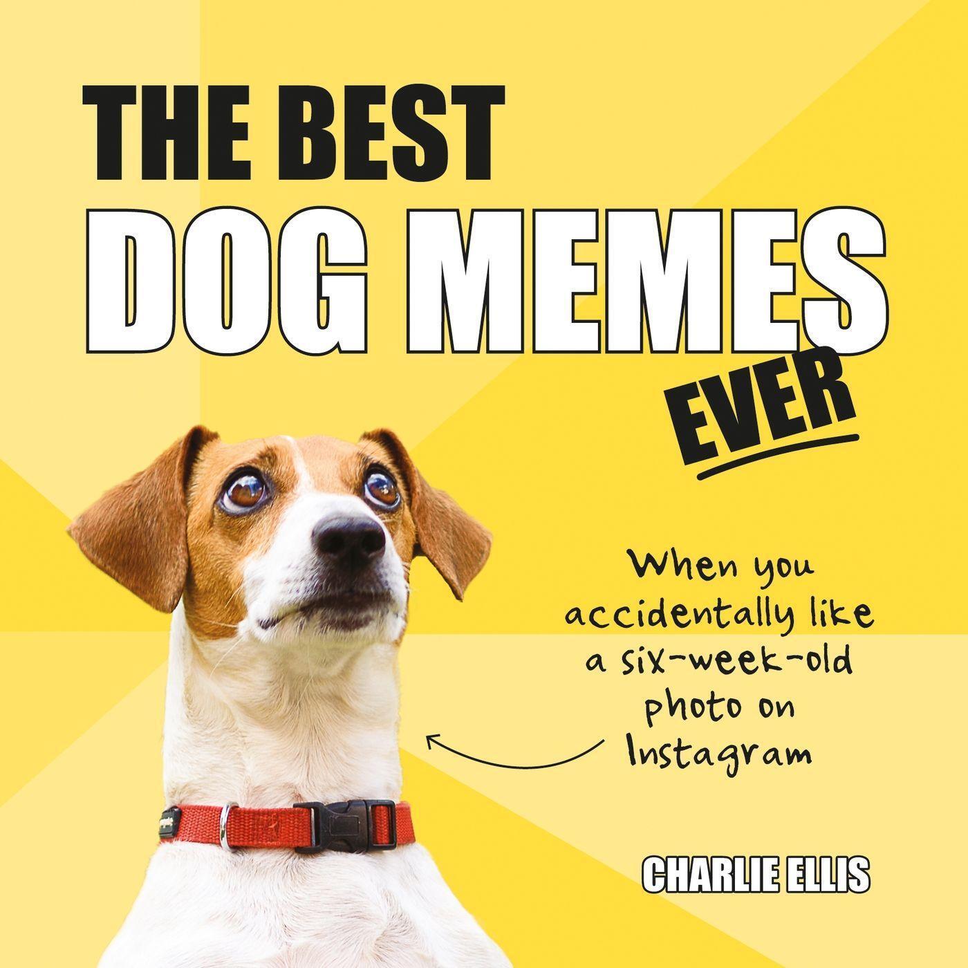 Cover: 9781786857835 | The Best Dog Memes Ever: The Funniest Relatable Memes as Told by Dogs