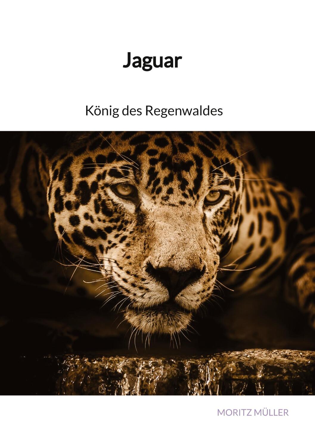 Cover: 9783347893825 | Jaguar - König des Regenwaldes | Moritz Müller | Buch | 44 S. | 2023