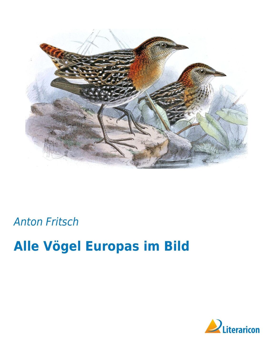 Cover: 9783959131278 | Alle Vögel Europas im Bild | Anton Fritsch | Taschenbuch | Paperback