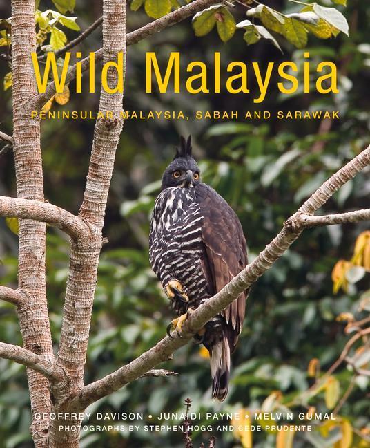 Cover: 9781912081127 | Wild Malaysia: The Wildlife, Scenery, and Biodiversity of...