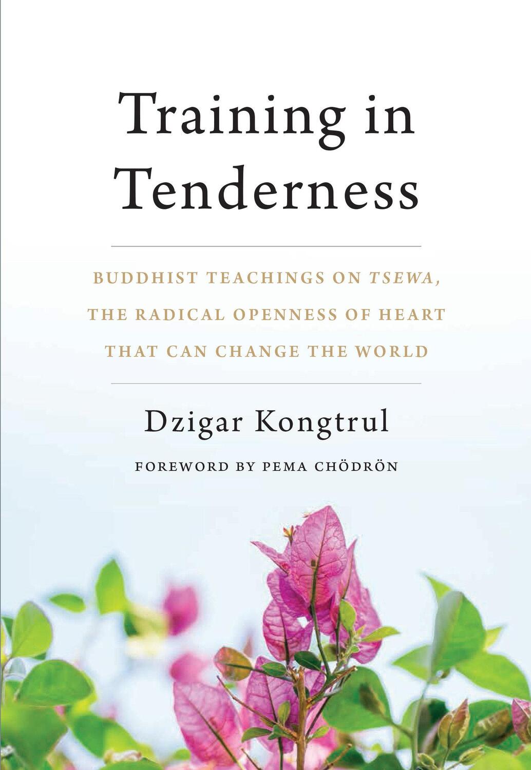 Cover: 9781611805581 | Training in Tenderness | Dzigar Kongtrul | Taschenbuch | Englisch