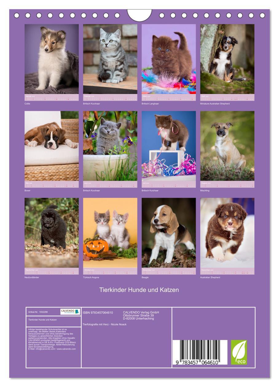 Bild: 9783457064610 | Tierkinder Hunde und Katzen (Wandkalender 2025 DIN A4 hoch),...