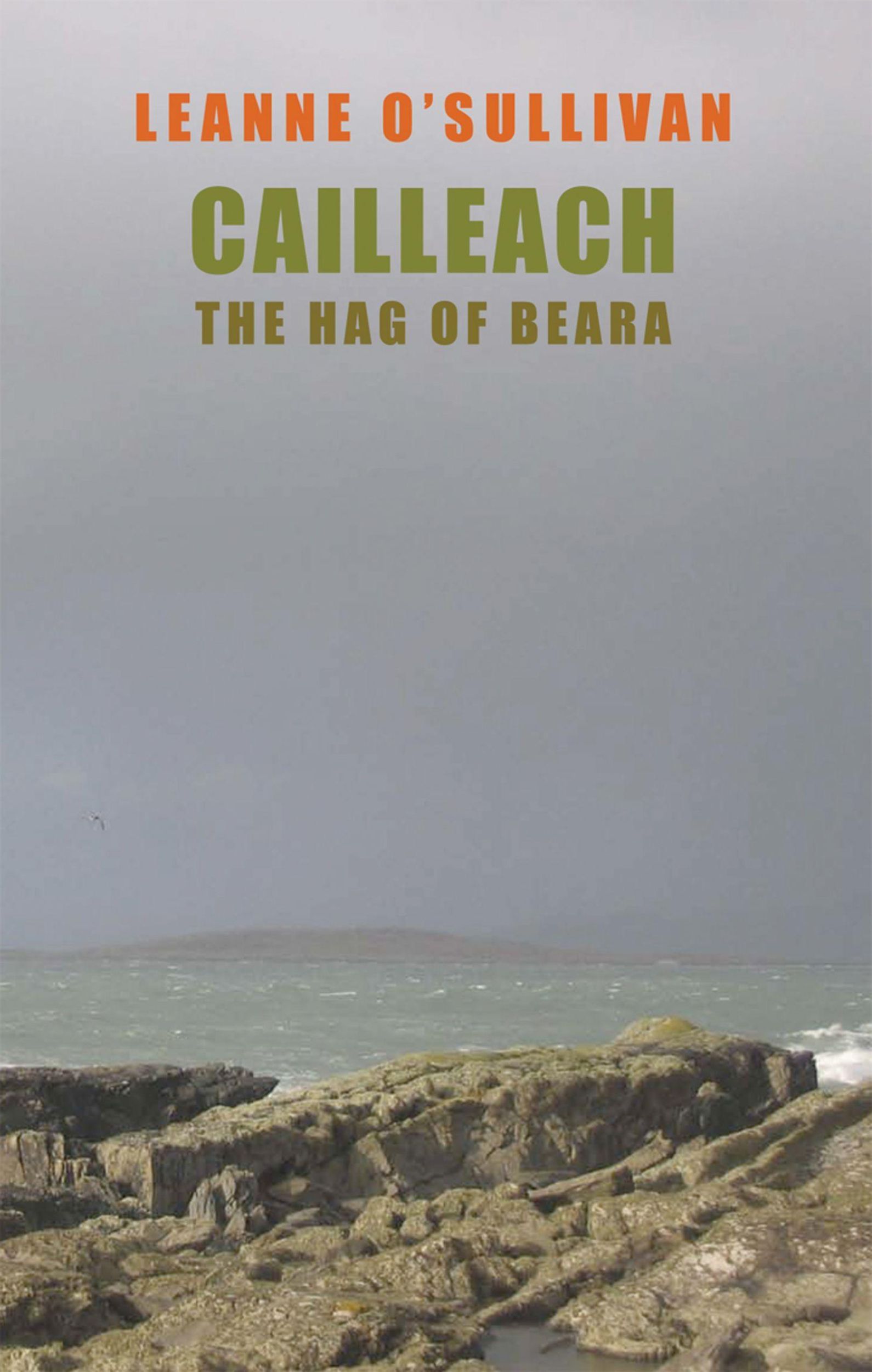 Cover: 9781852248185 | Cailleach | The Hag of Beara | Leanne O'Sullivan | Taschenbuch | 2009