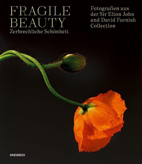 Cover: 9783957288943 | Fragile Beauty - zerbrechliche Schönheit | Duncan Forbes (u. a.)