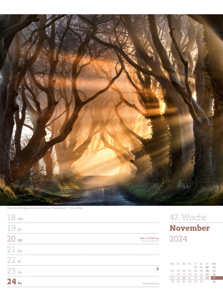 Bild: 9783838434001 | Poetische Landschaften - Wochenplaner Kalender 2024 | Kunstverlag