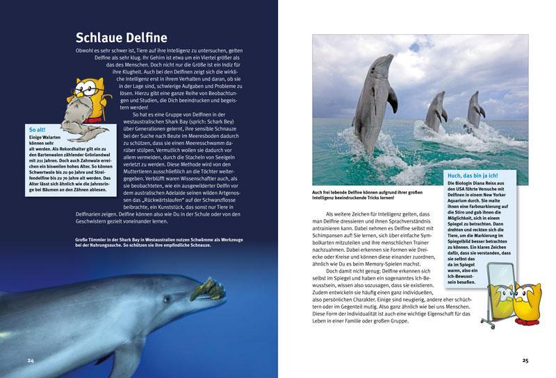 Bild: 9783866594111 | Entdecke die Delfine | Kim Cornelius Detloff | Buch | 64 S. | Deutsch