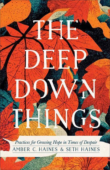 Cover: 9781587435638 | The Deep Down Things | Practices for Growing Hope in Times of Despair