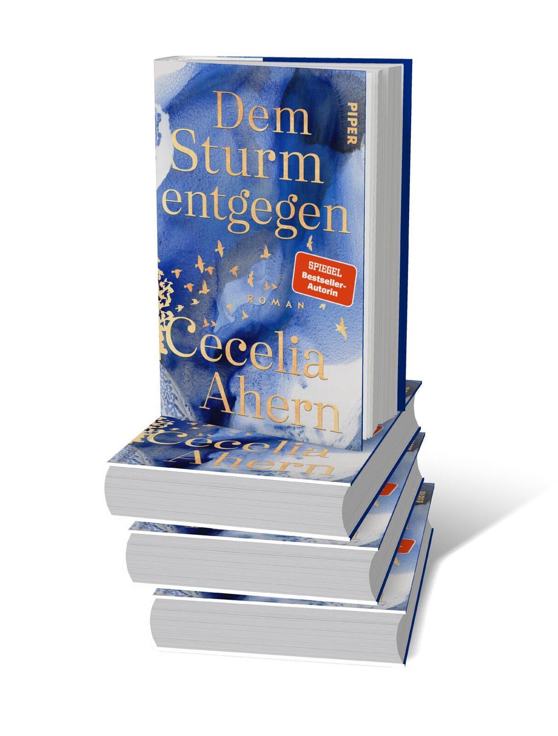 Bild: 9783492071819 | Dem Sturm entgegen | Cecelia Ahern | Buch | 448 S. | Deutsch | 2024