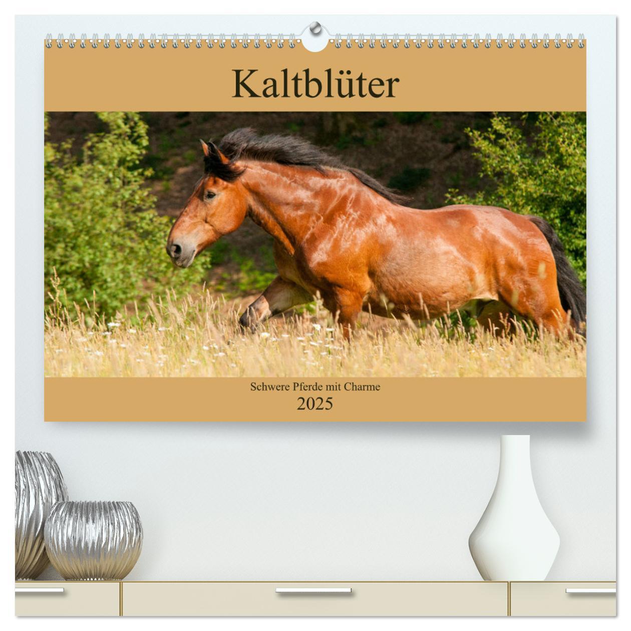 Cover: 9783435265817 | Kaltblüter - Schwere Pferde mit Charme (hochwertiger Premium...