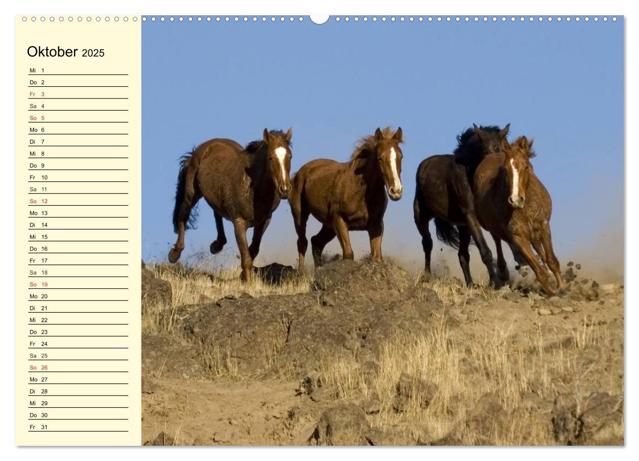 Bild: 9783435528912 | Wilde Pferde. Mustangs in USA (Wandkalender 2025 DIN A2 quer),...