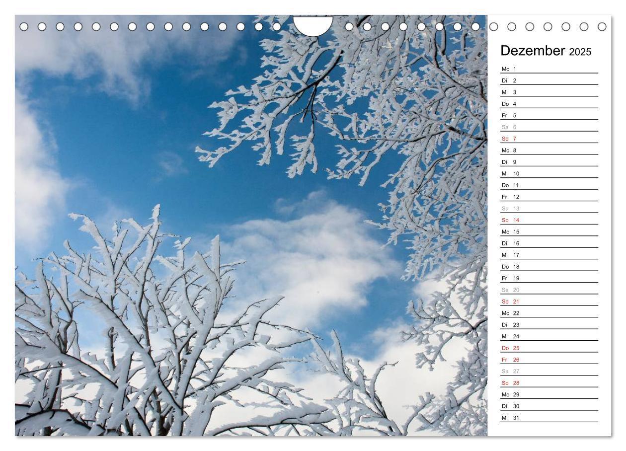 Bild: 9783435542482 | DER STEIGERWALD - Impressionen einer Landschaft (Wandkalender 2025...