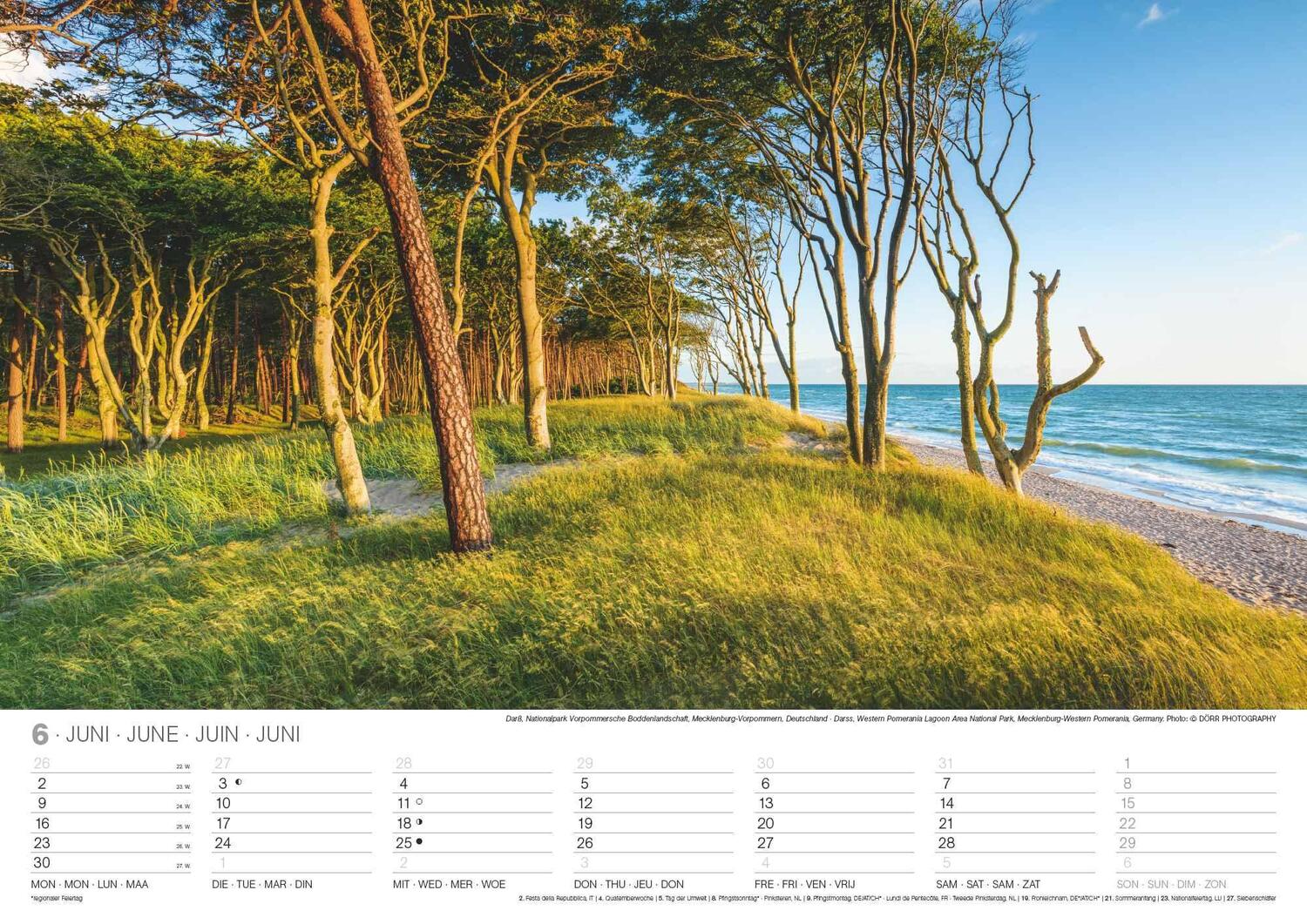 Bild: 4002725994271 | Malerische Wälder 2025 - Wand-Kalender - 42x29,7 - Wald - Natur | 2025