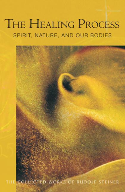 Cover: 9780880106412 | The Healing Process | Spirit, Nature and Our Bodies | Rudolf Steiner