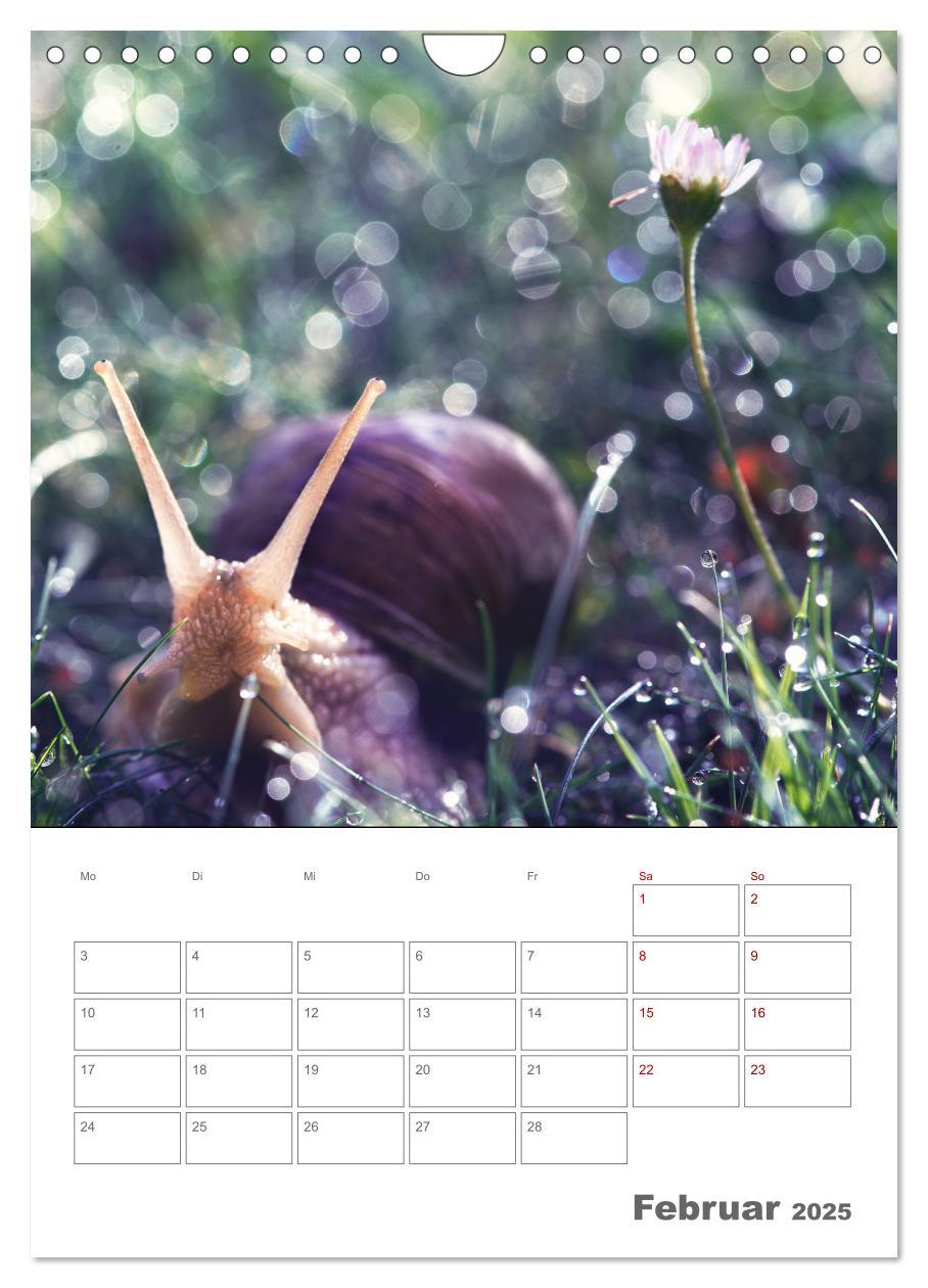 Bild: 9783435917648 | Helden in der Natur (Wandkalender 2025 DIN A4 hoch), CALVENDO...