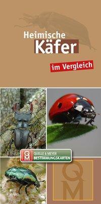 Cover: 9783494017747 | Heimische Käfer | im Vergleich | Quelle & Meyer Verlag | Stück | 2018