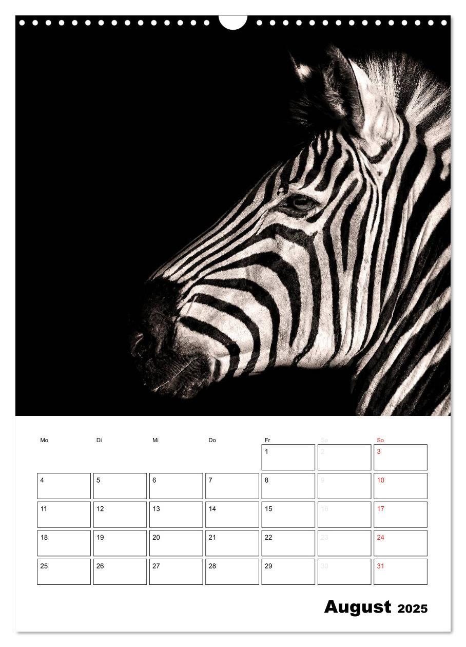 Bild: 9783457013199 | Charakterköpfe aus der Welt der Tiere (Wandkalender 2025 DIN A3...